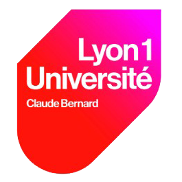 Logo Lyon Sud